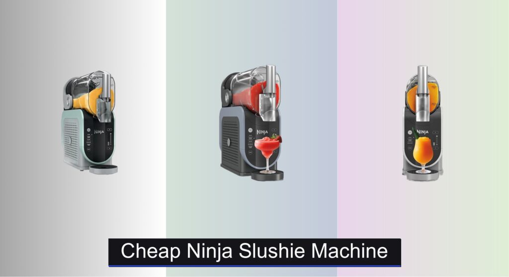 6 Best Cheap Ninja Slushie Machines 2026