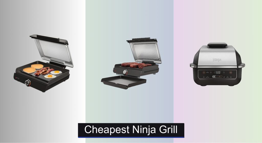 5 Cheapest Ninja Grills of 2026