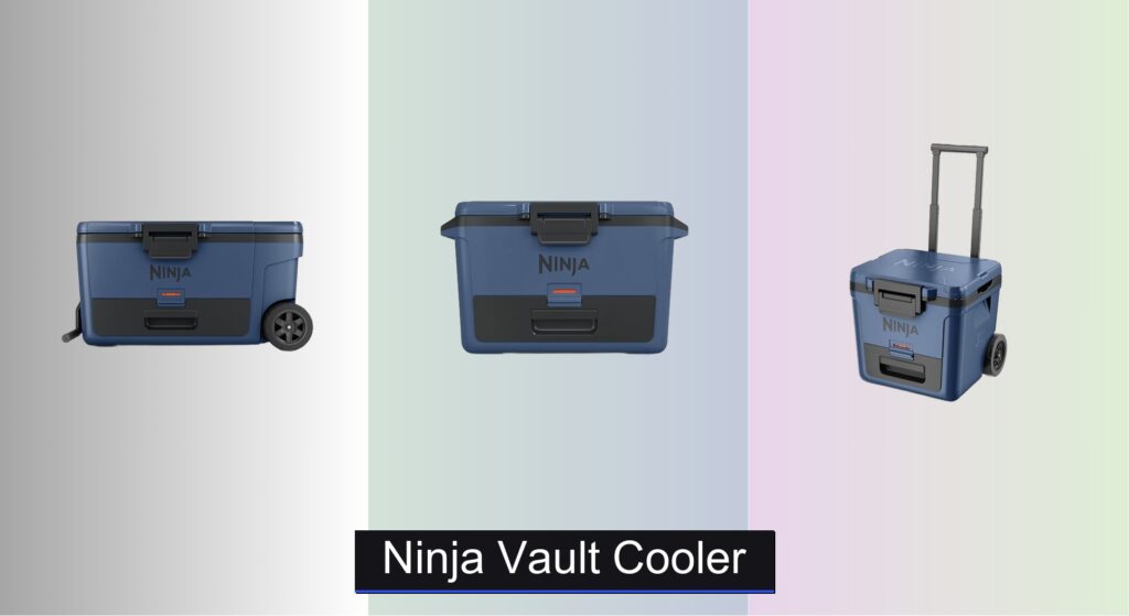 5 Best Ninja Vault Coolers of 2026