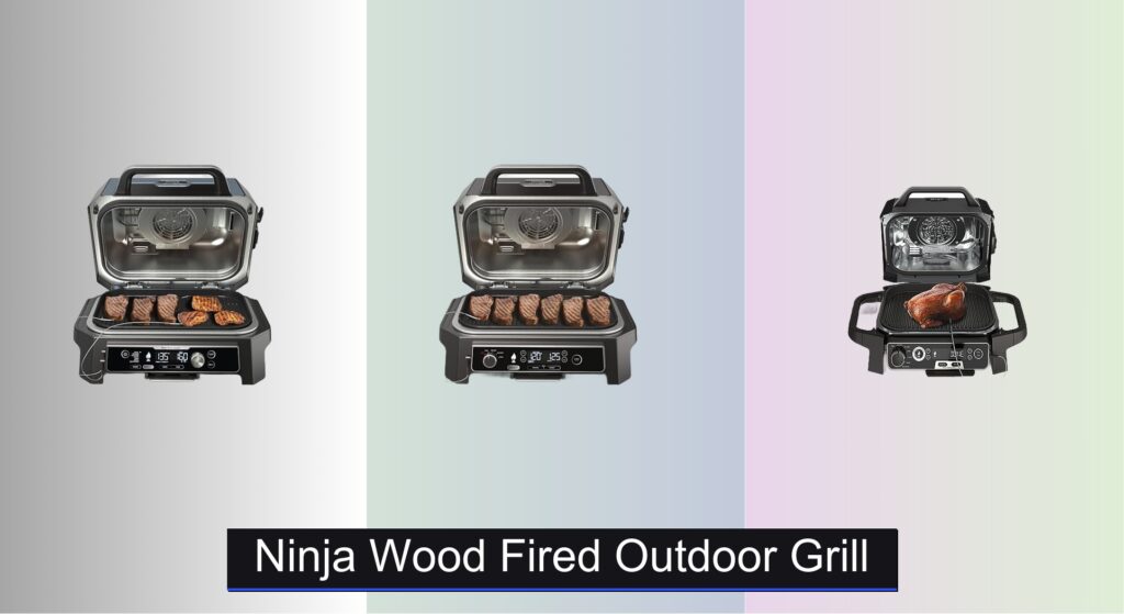 6 Best Ninja Wood Fired Outdoor Grills of 2026