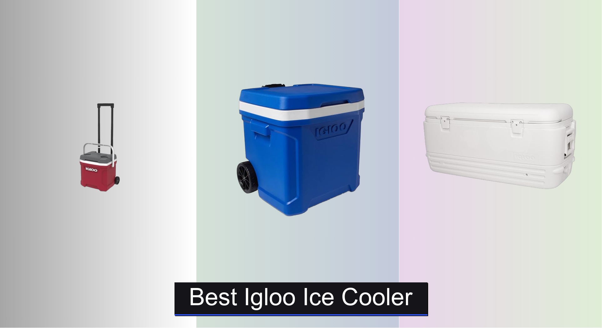 7 Best Igloo Ice Coolers of 2026